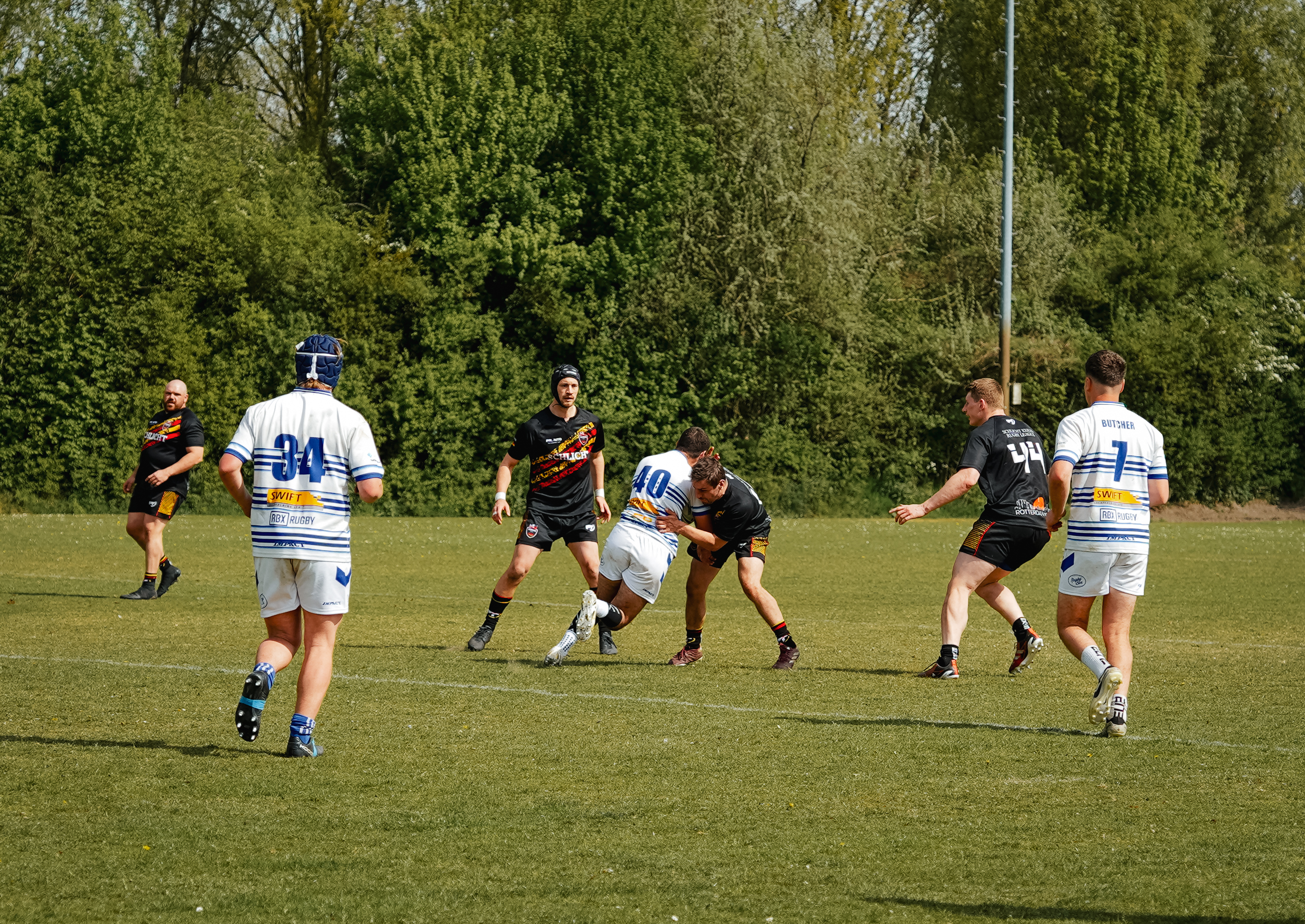 DSC01186.jpg