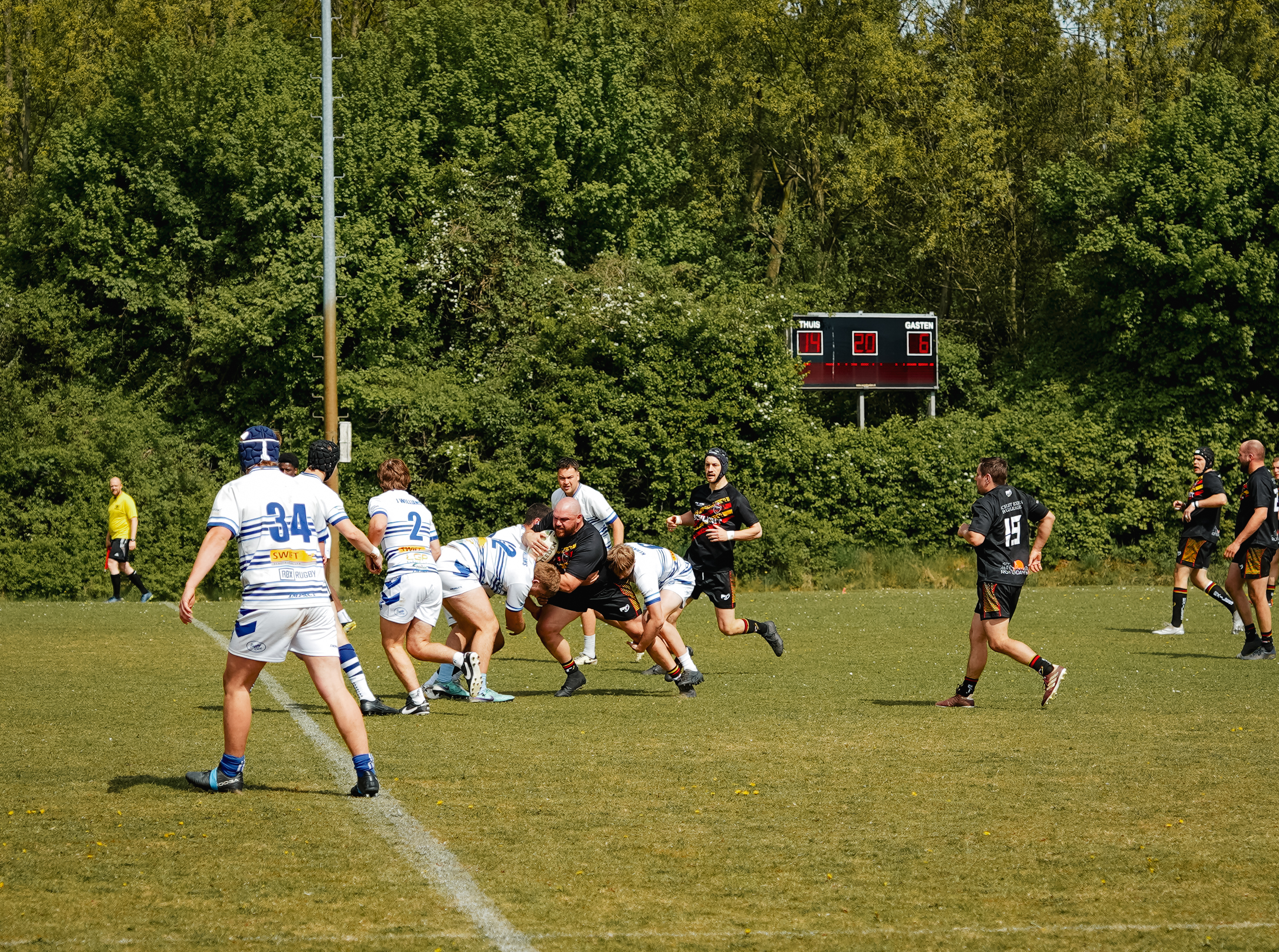 DSC01134.jpg