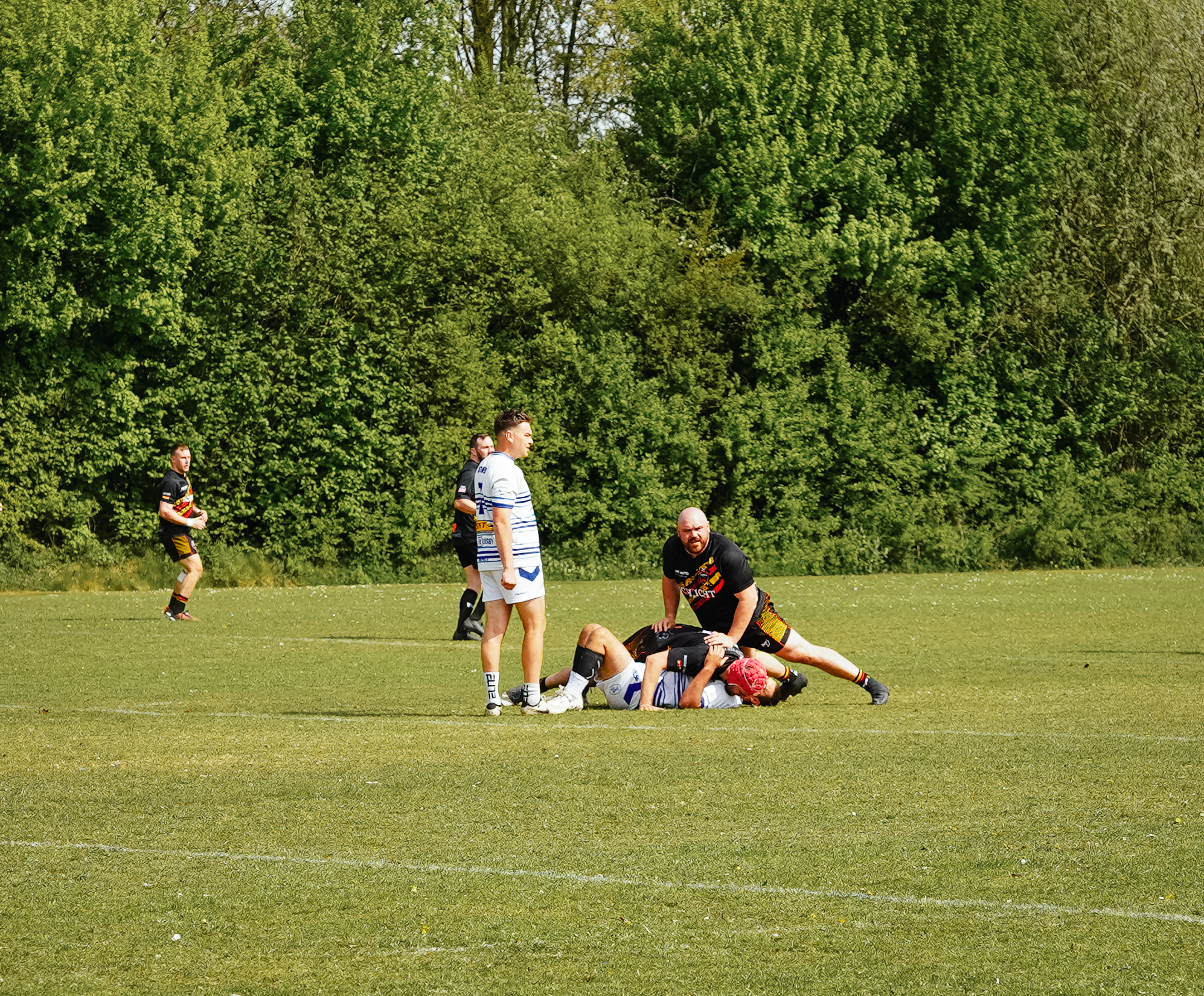 DSC01097.jpg